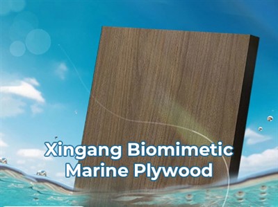 Xingang Biomimetic Marine Plywood Passes Salt Spray Test Xingang Biomimetic Marine Plywood Passes Salt Spray Test