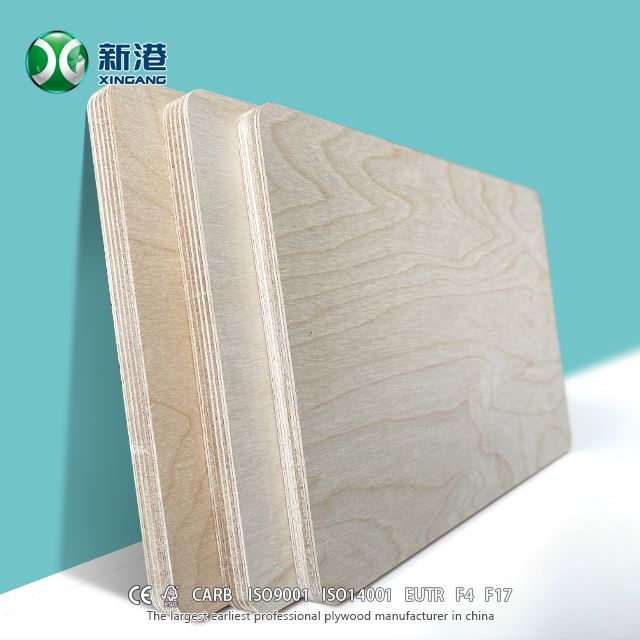Best Full Birch Plywood XINGANG Brand
