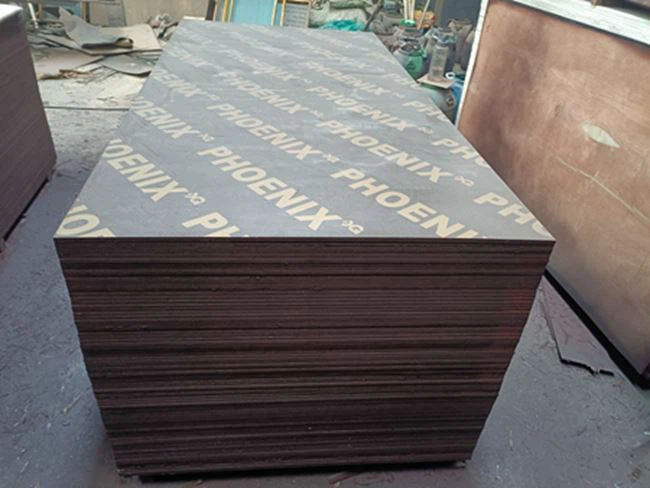 Black Film / Marina Board / XINGANG GROUP / ČÍNA