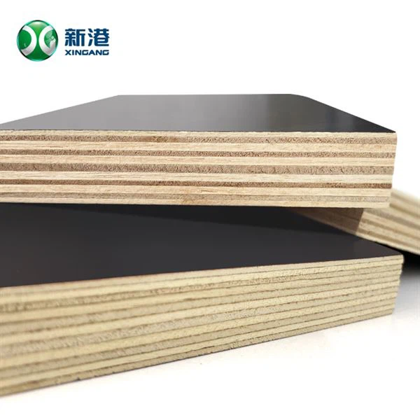 Concrete Formwork Shuttering Plywood