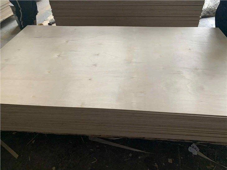 Melamine Glue / Engineered Veneer / Commercial Plywood / XINGANG / CHINA