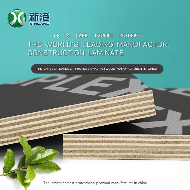 Xingang Best Sale 12mm 15mm 18mm Brown/black Film Faced Plywood Sheet For Construction