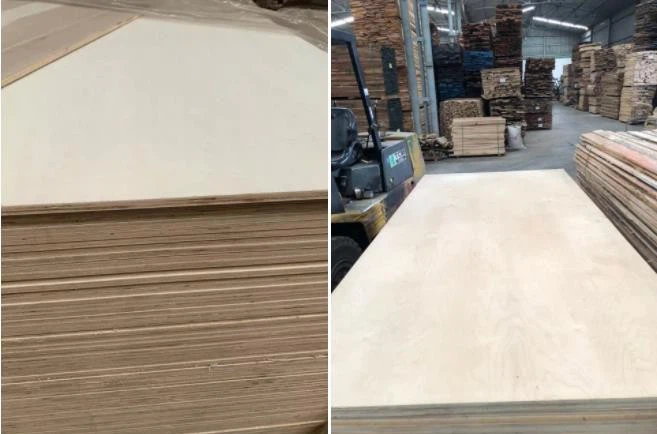 Special Size Of 5x8, 6x8, 4x10, 5x10, 8x10 Plywood